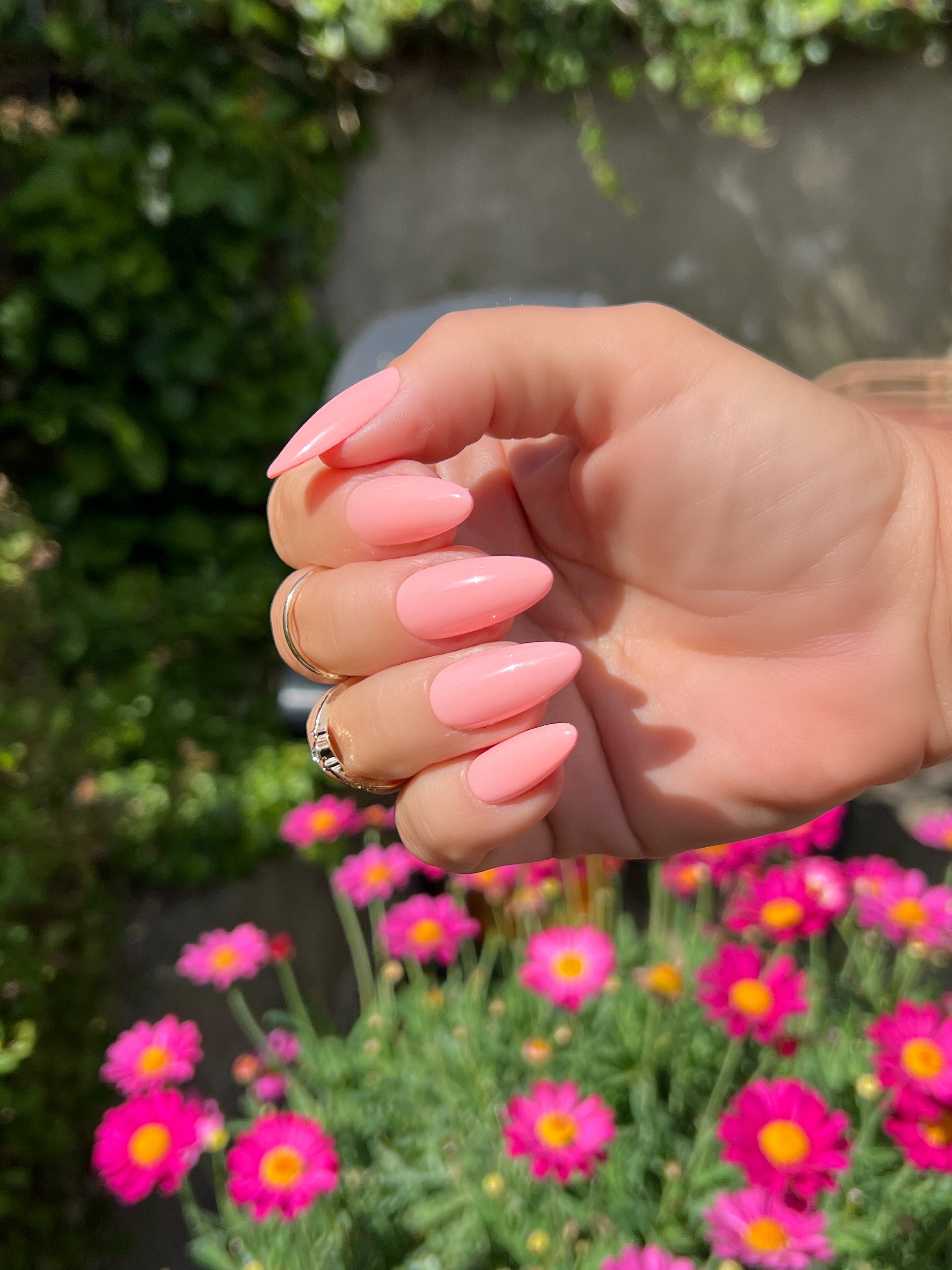 Gel Polish Pastel Sugar Coral