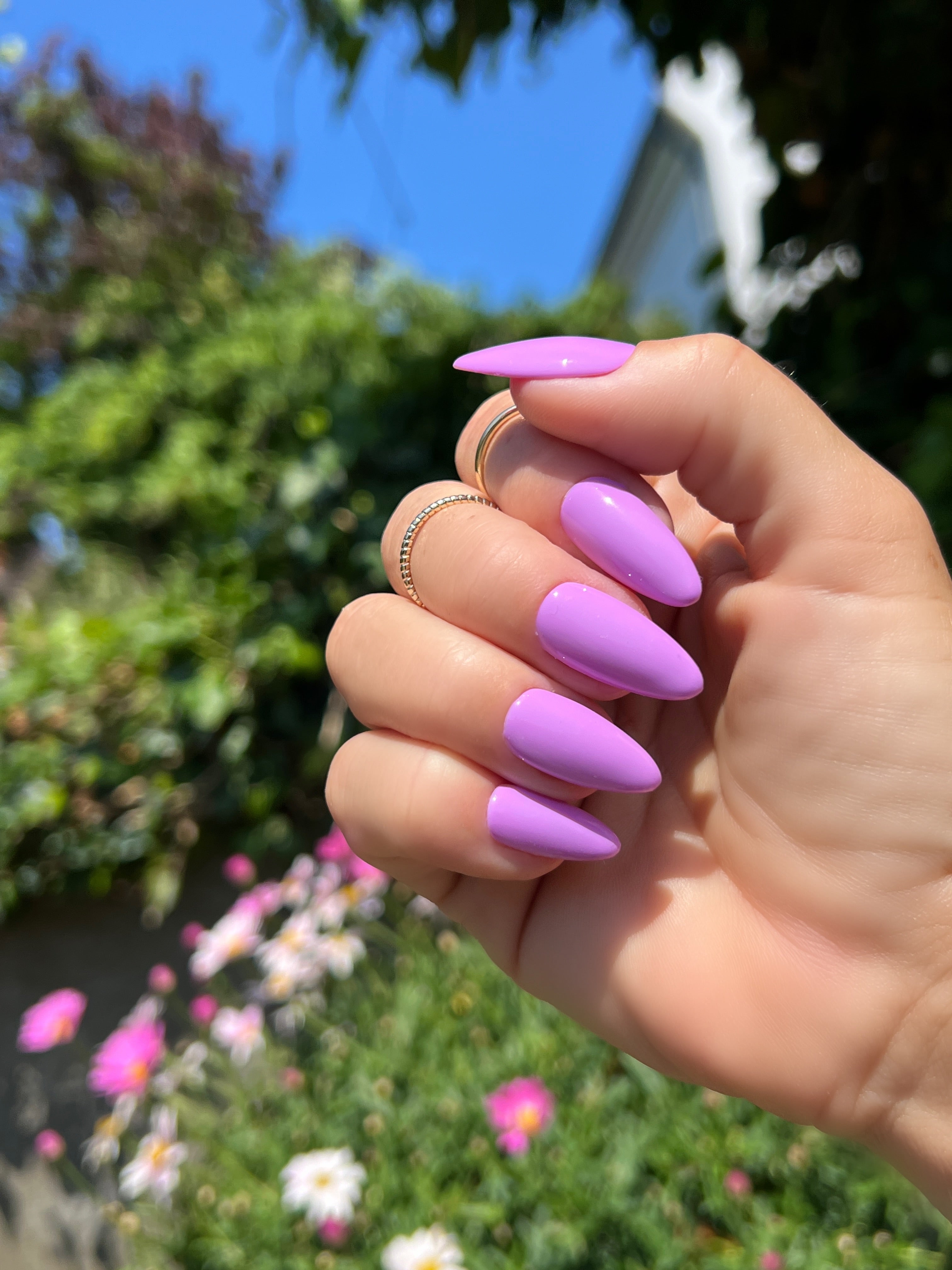 Gel Polish Purple