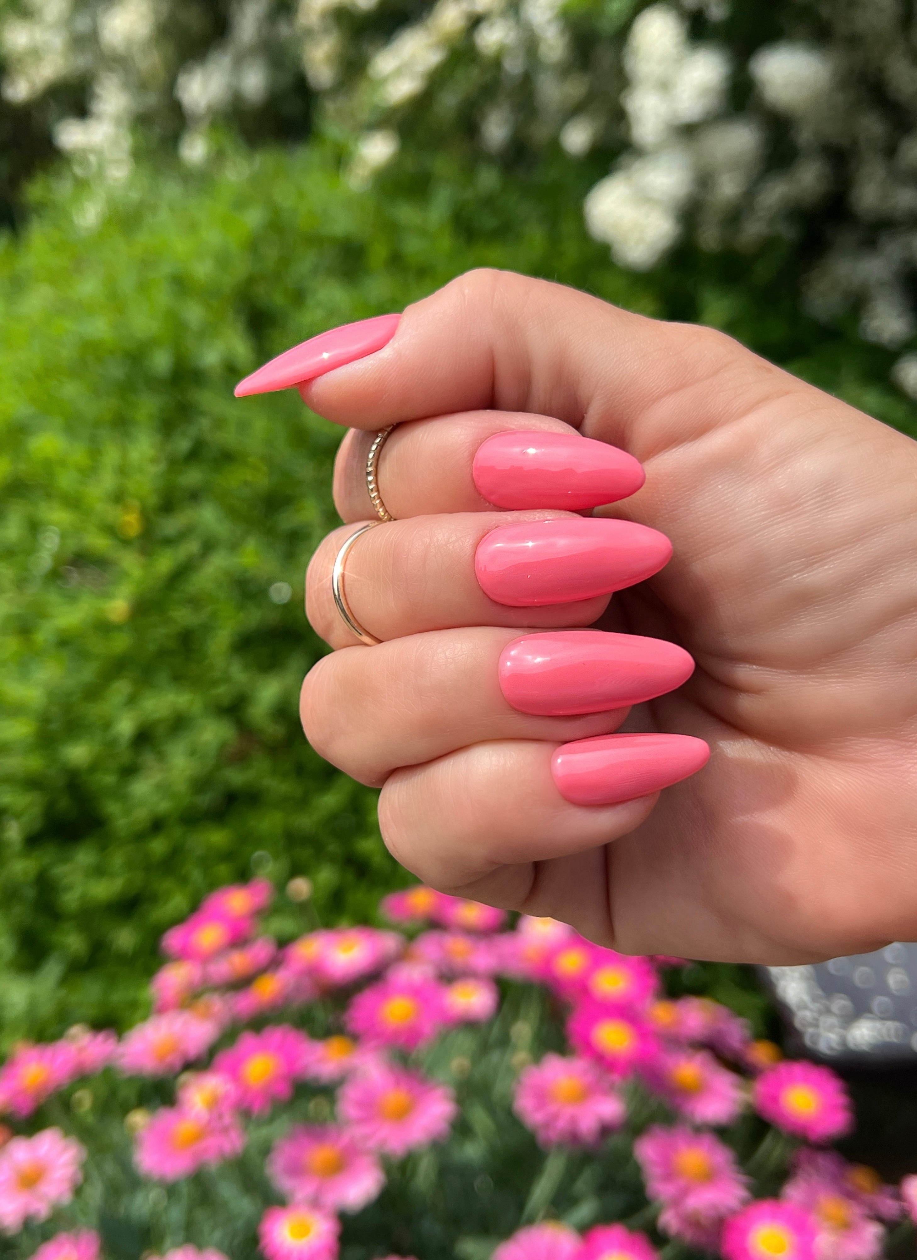 Gel Polish Pink Cherry