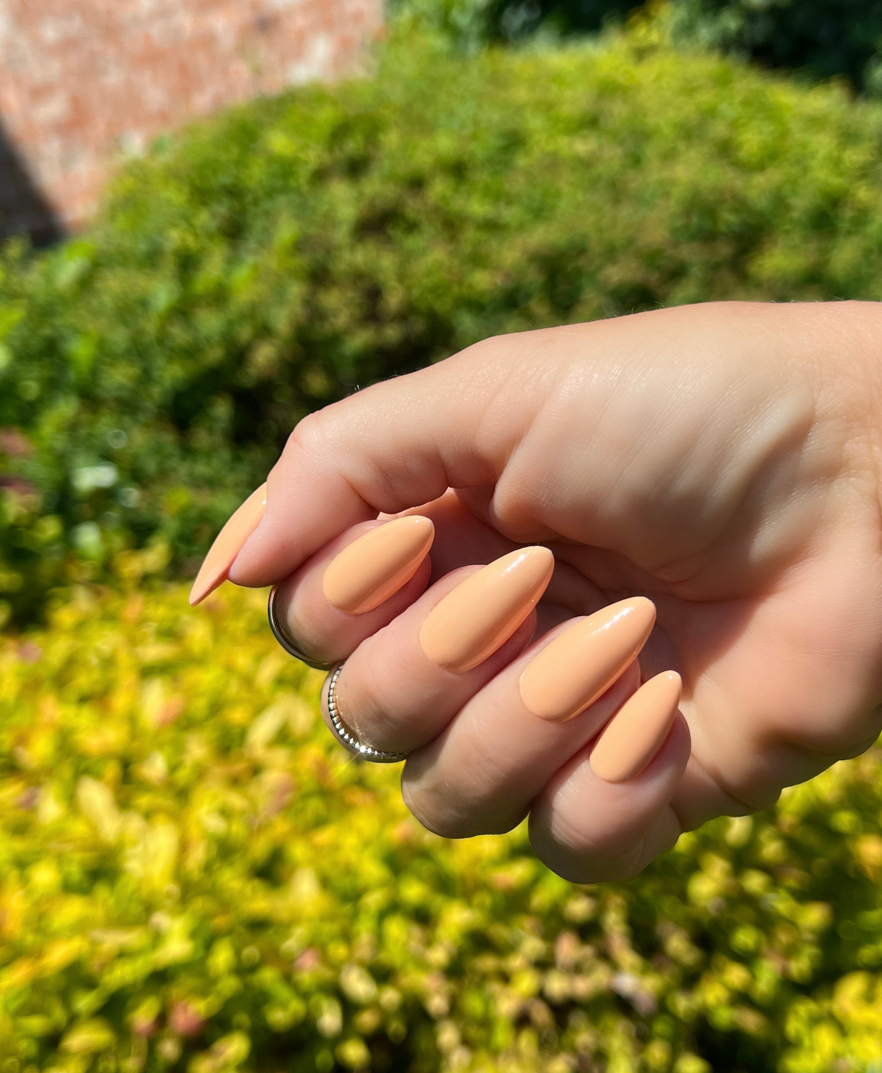 Gel Polish Peachy Elegance