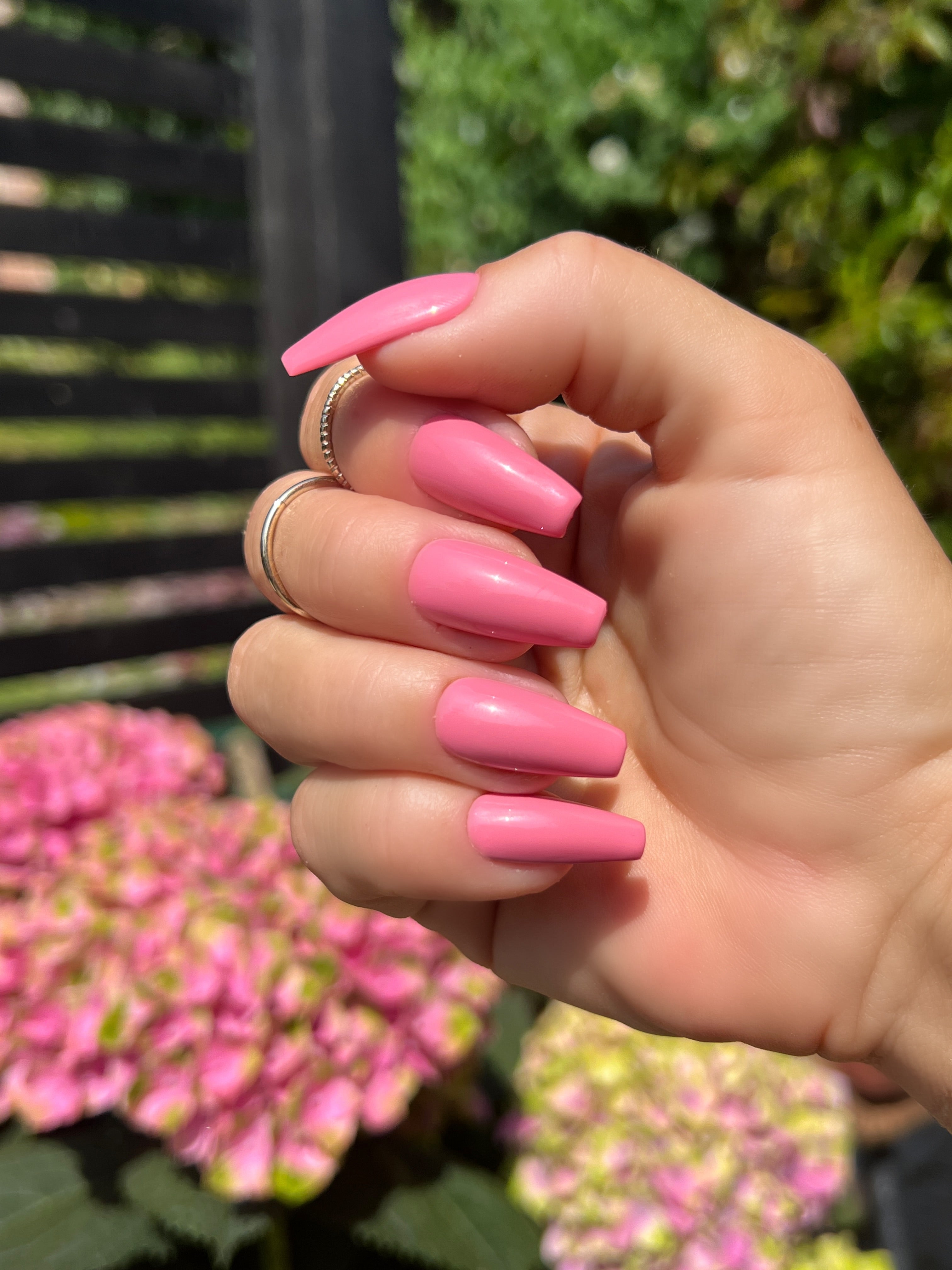 Gel Polish French Rose