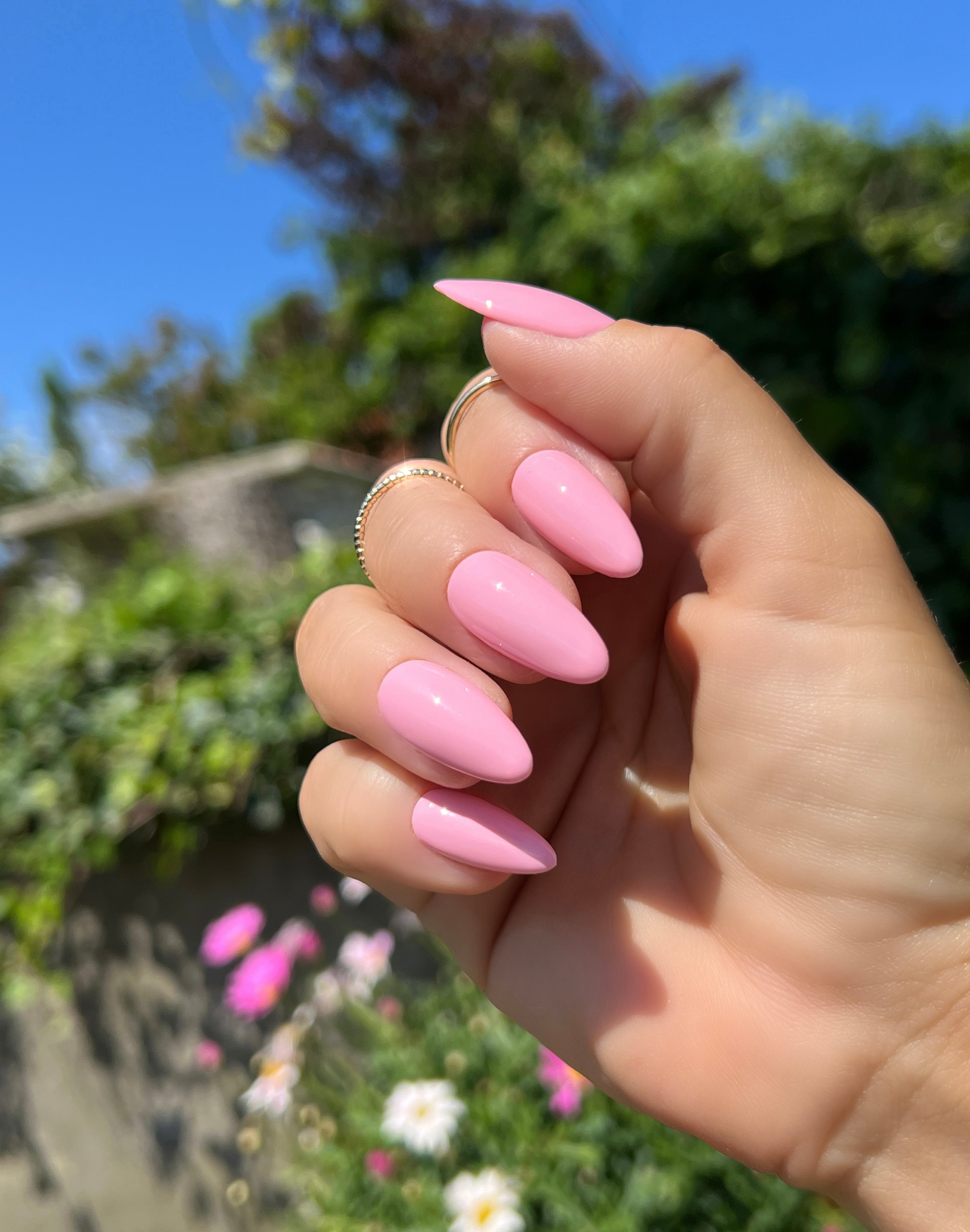 Gel Polish Pink Blush