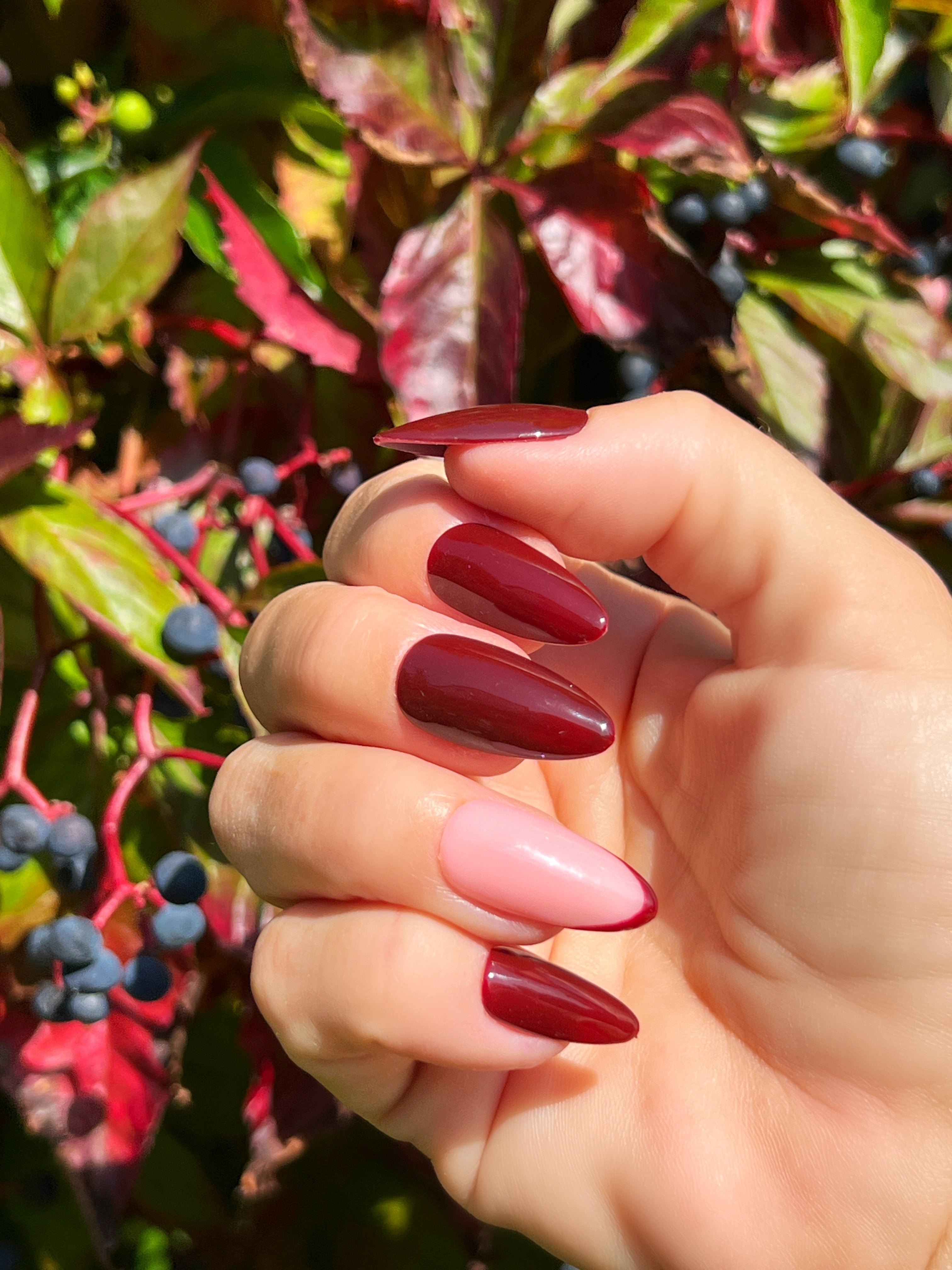 Gel Polish Wine