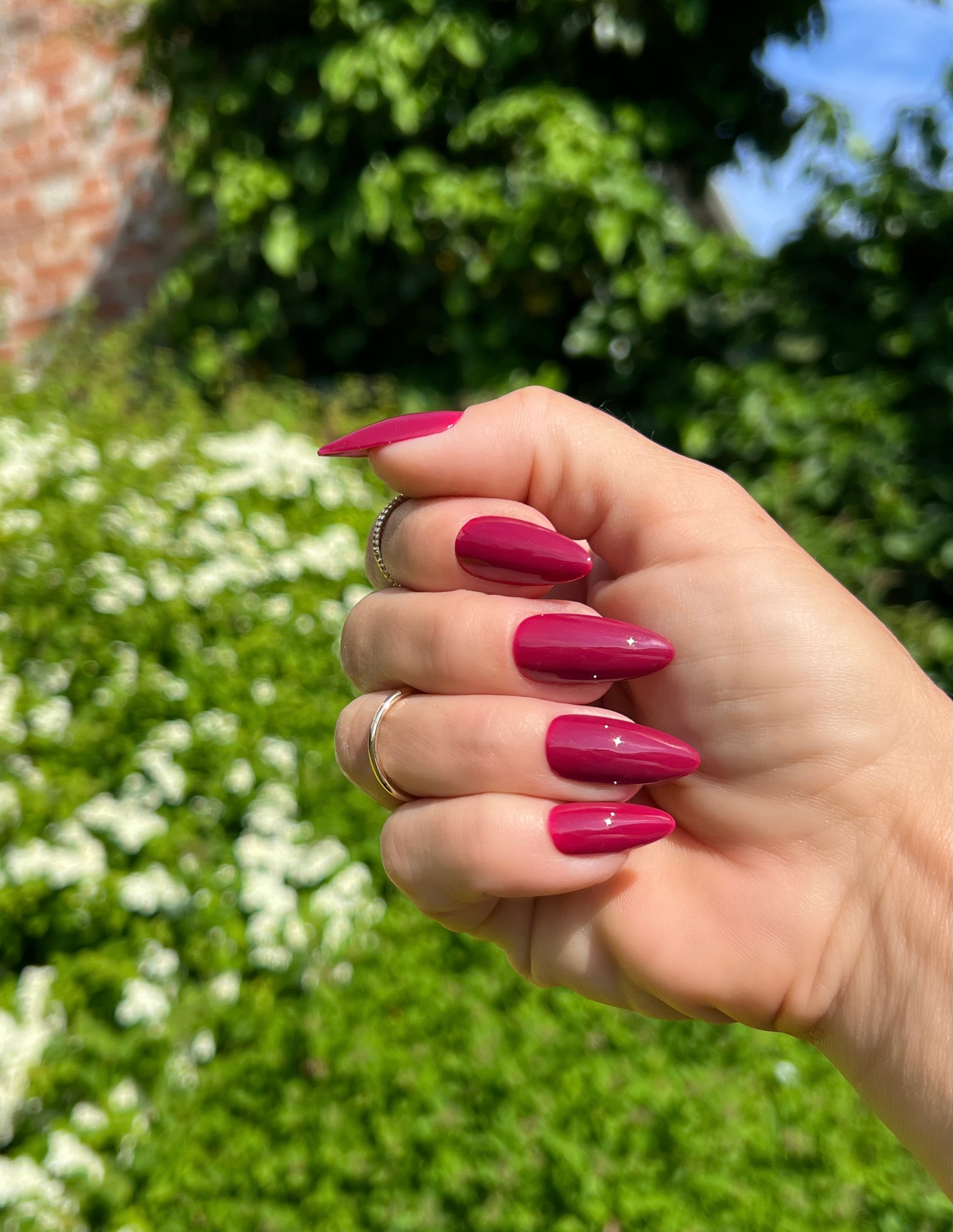 Gel Polish Red Pink