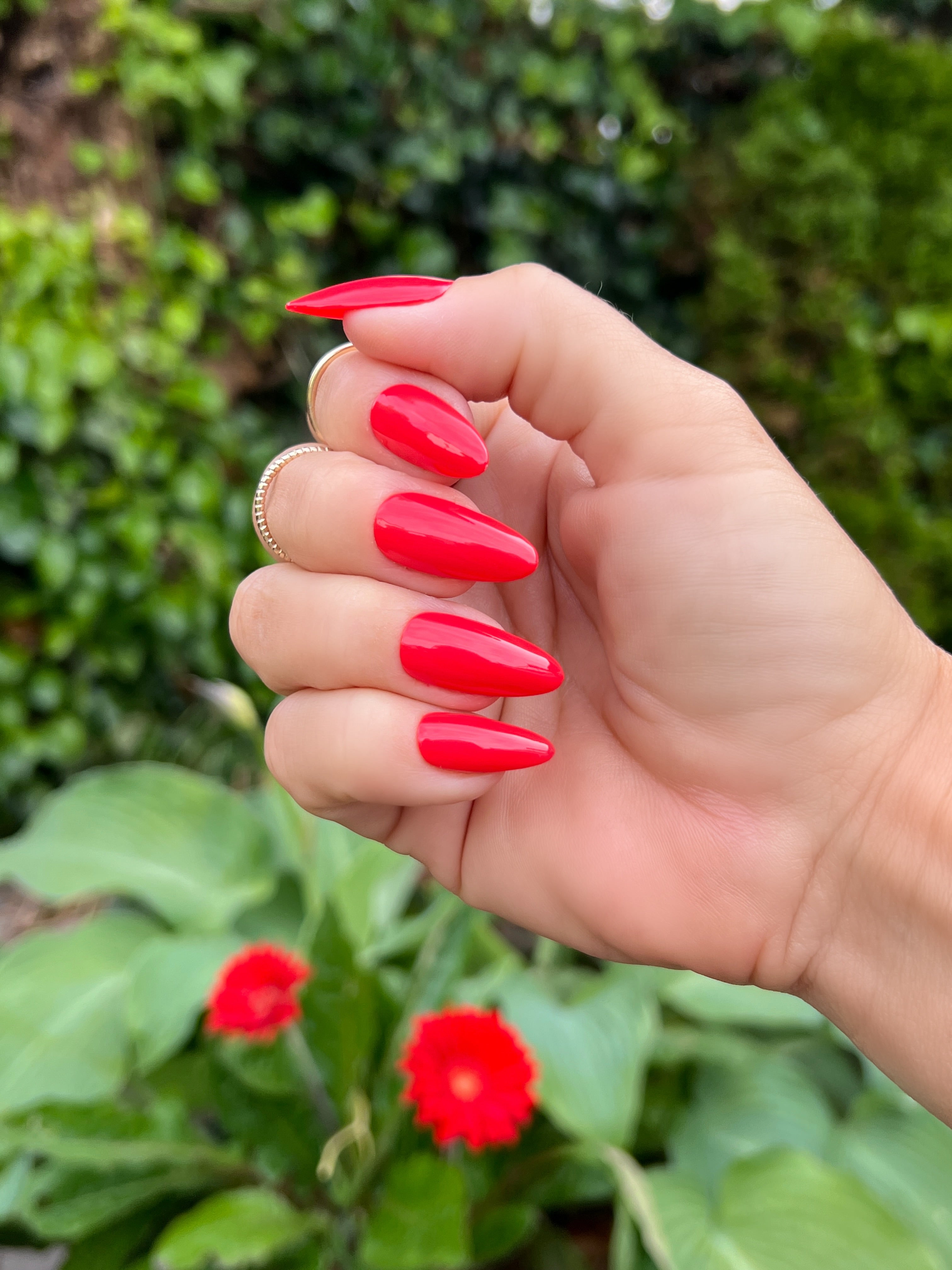 Gel Polish Pale Rose Red