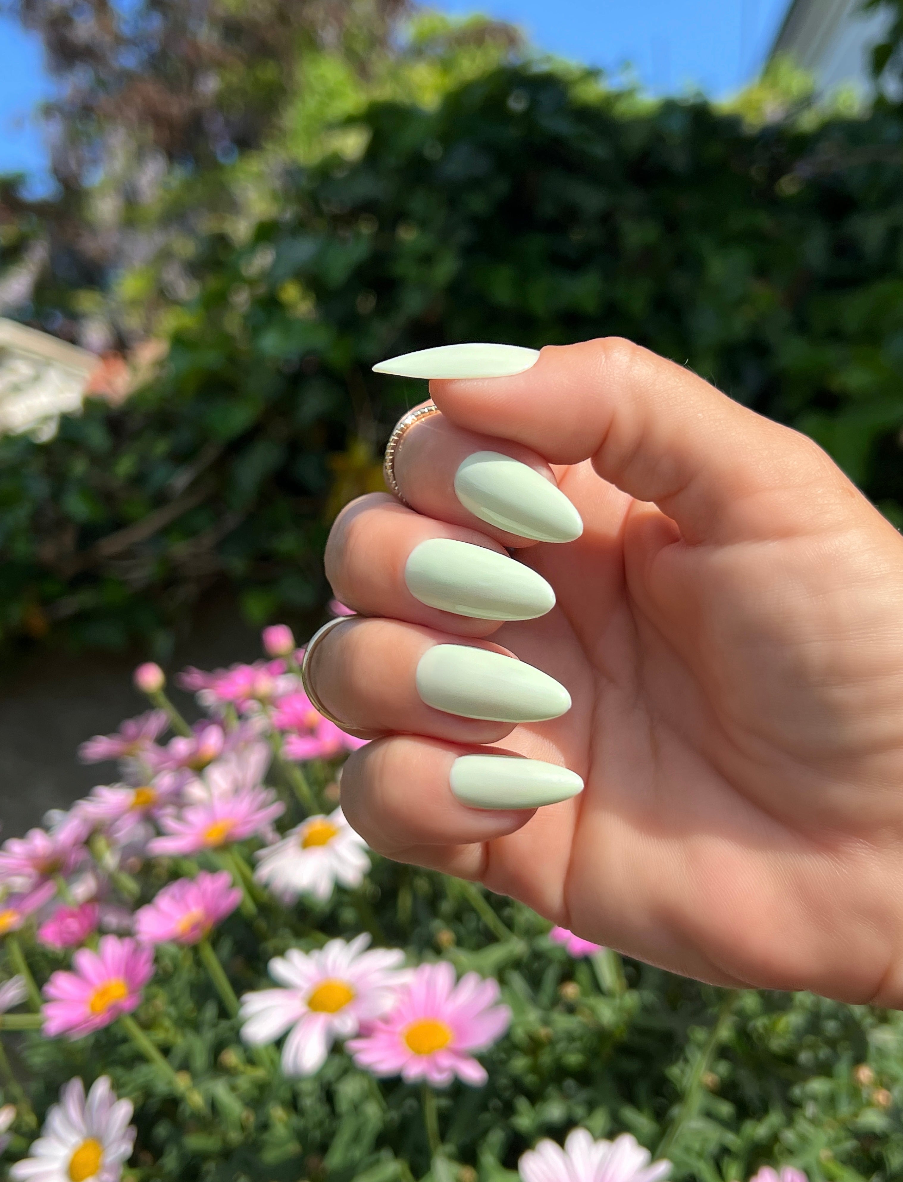 Gel Polish Pastel Green